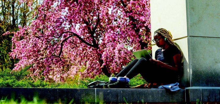 Student studies next to a concrete pillar in front of a tree with pink flowers