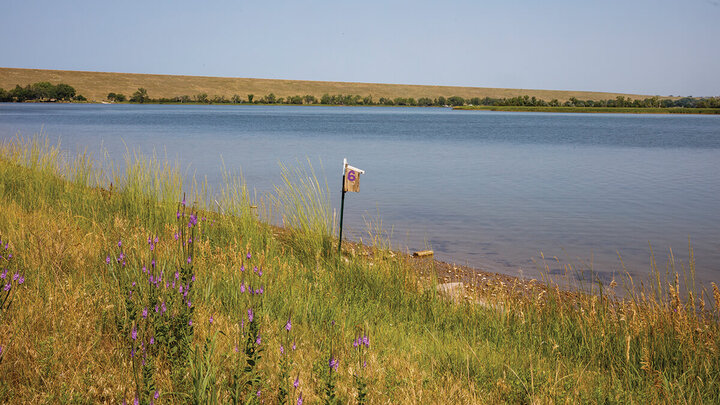 Shoreline of beach with birdhouse